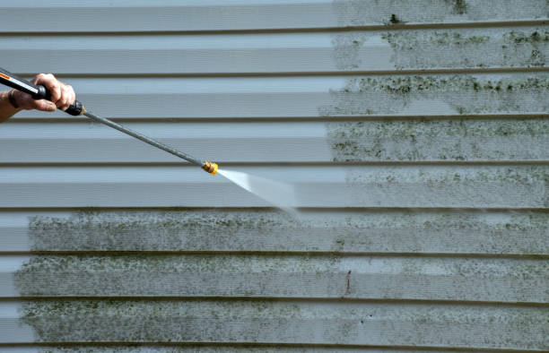 Best Sidewalk and Walkway Cleaning  in St Anthony, ID